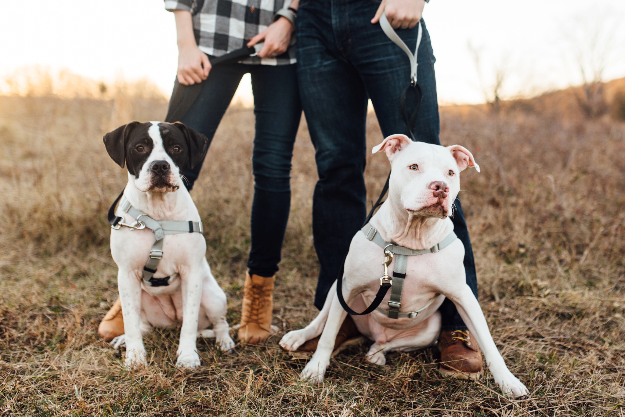 roni-graham-valley-forge-anniversary-session-alison-dunn-photography-photo-020