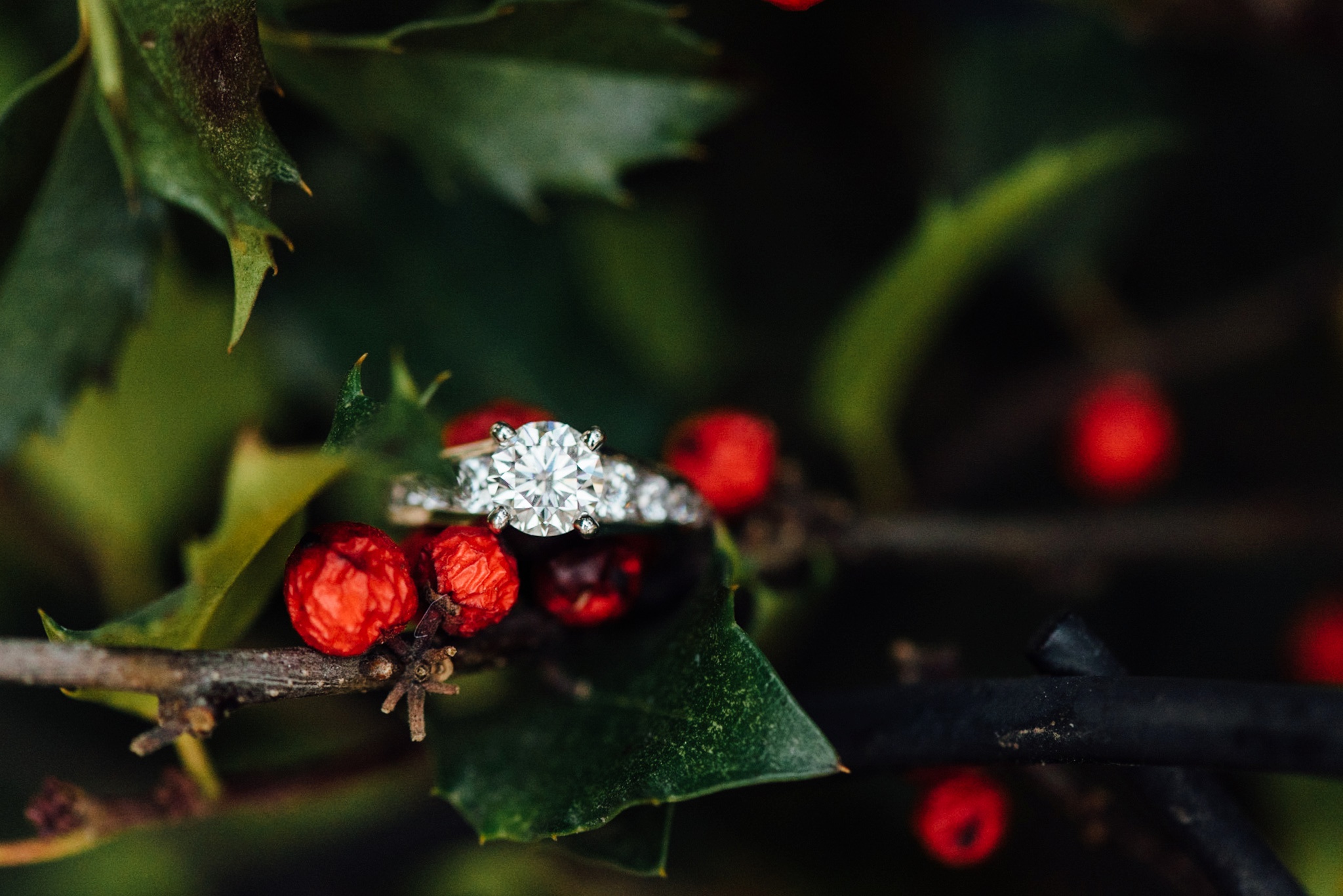 15-kerri-joe-rittenhouse-square-engagement-session-alison-dunn-photography-photo