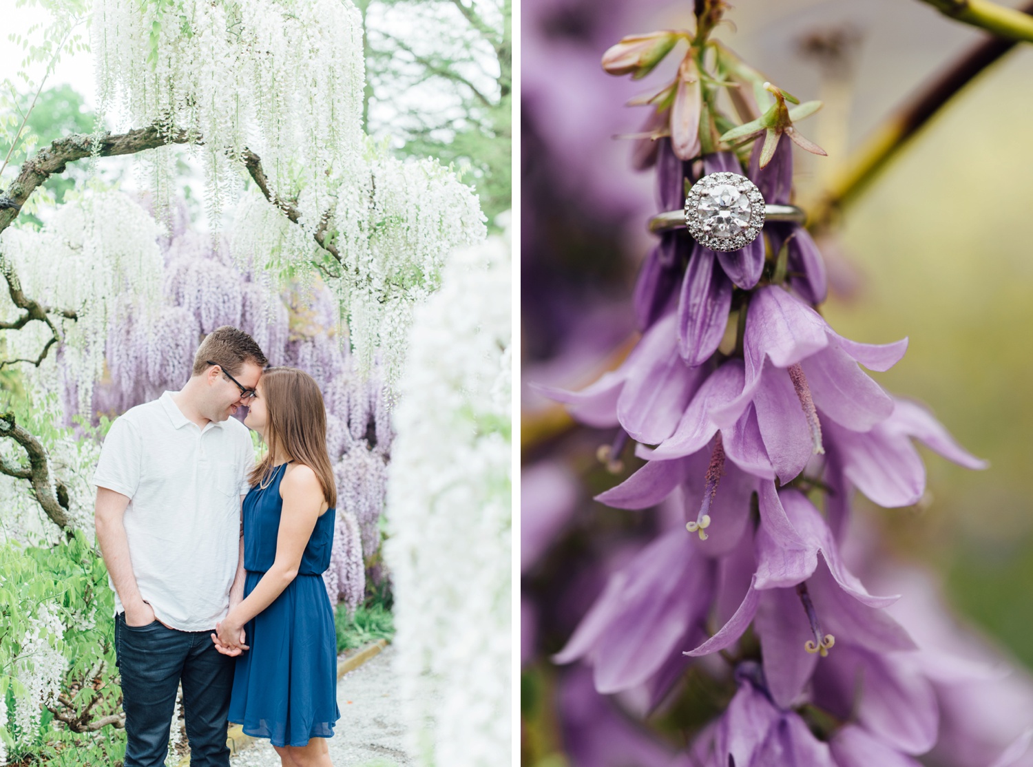 Lauren + Alec - Longwood Gardens Engagement Session - Kennett Square Wedding Photographer - Alison Dunn Photography photo