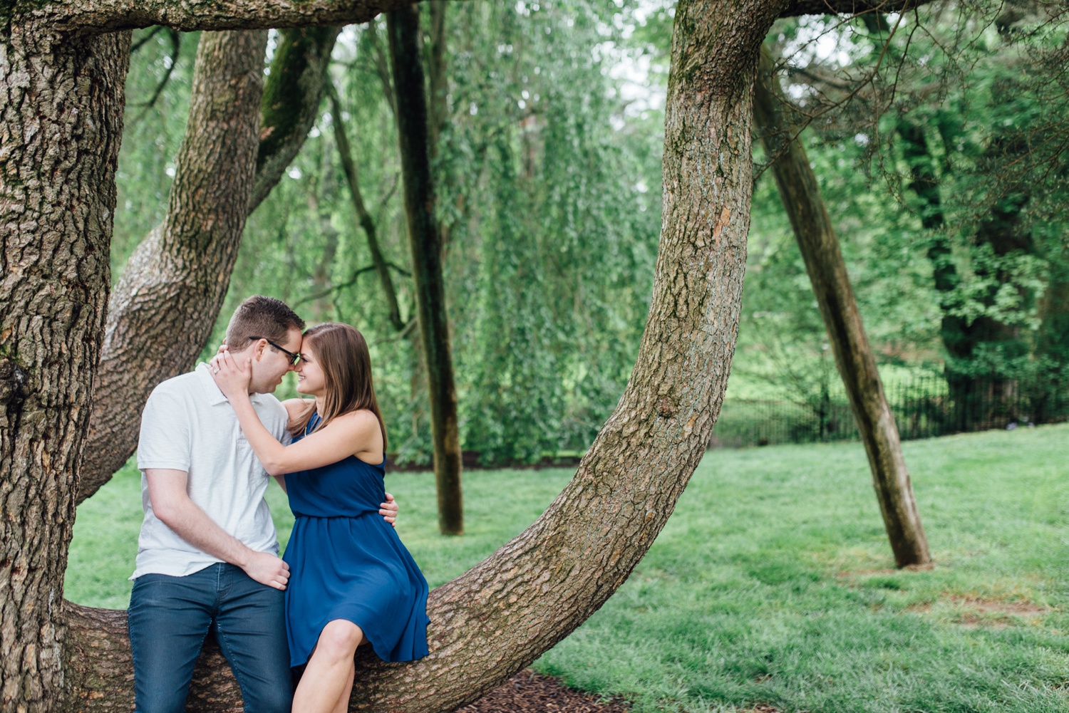 Lauren + Alec - Longwood Gardens Engagement Session - Kennett Square Wedding Photographer - Alison Dunn Photography photo