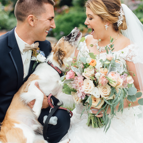 Rachel + Taylor \\ Wedding