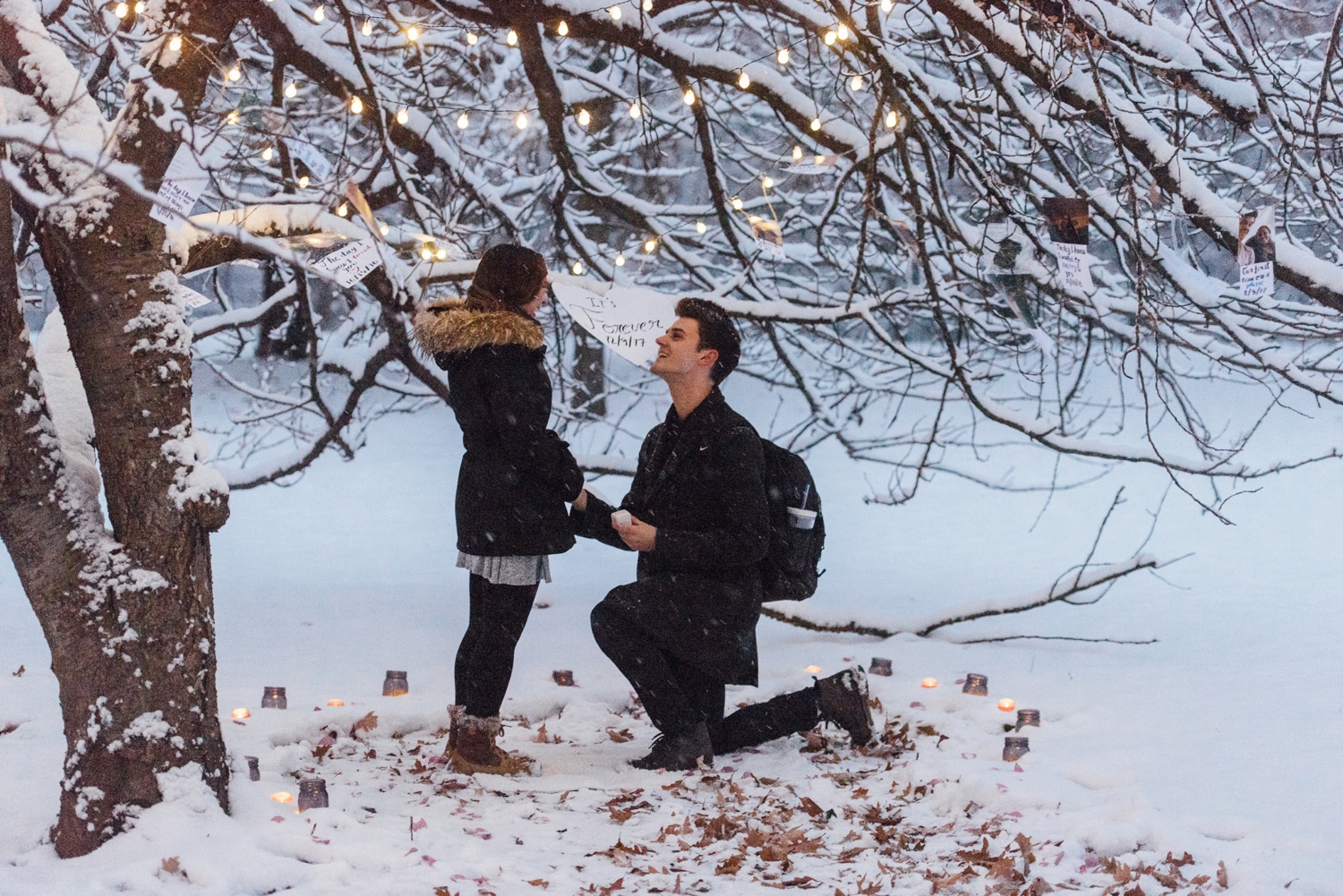 Tiffany + Nathan - Fairmount Park Proposal - Philadelphia Engagement Session - Alison Dunn Photography
