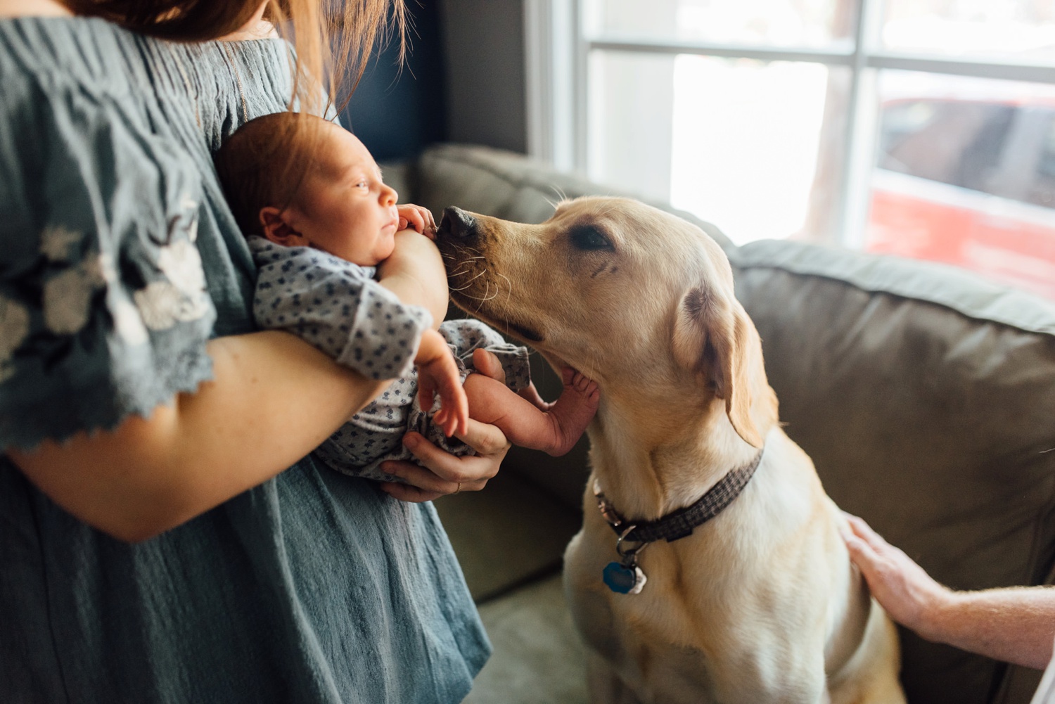 Jackson Family - Philadelphia Lifestyle Session - Family Newborn Photographer - Alison Dunn Photography photo