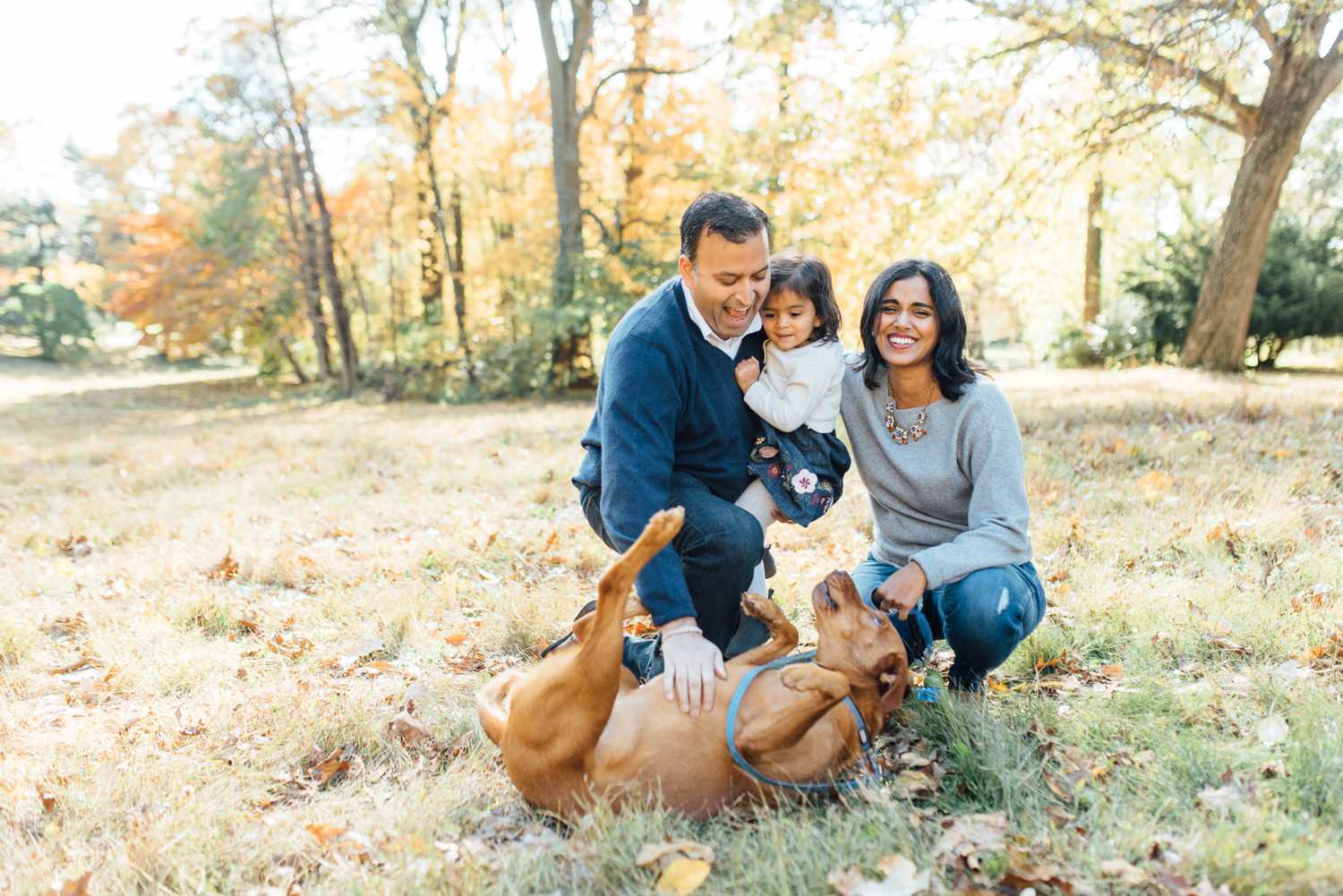 Fall Mini-Sessions - Philadelphia Family Photographer - Alison Dunn Photography photo