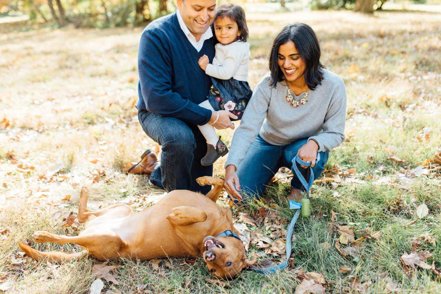 Fall Mini-Sessions - Philadelphia Family Photographer - Alison Dunn Photography photo