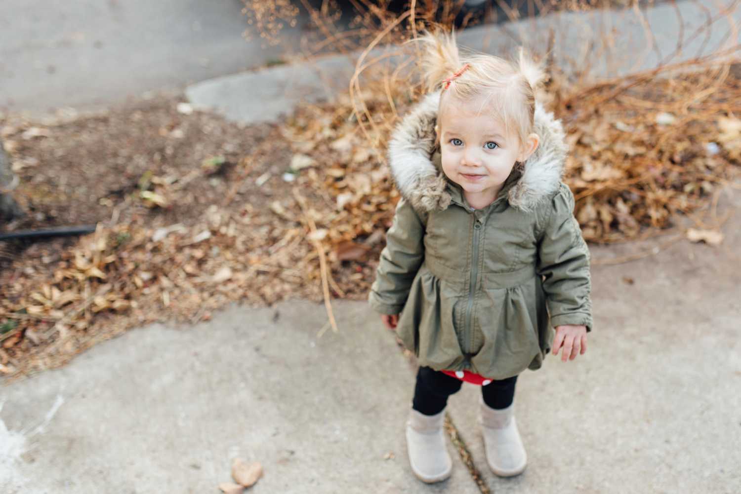 Gulish Family - Greensgrow Farm Christmas Tree - Philadelphia Family Lifestyle Photographer - Alison Dunn Photography photo