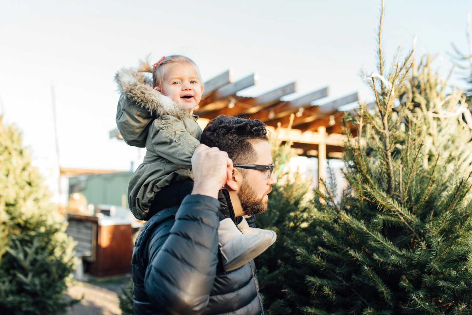 Gulish Family - Greensgrow Farm Christmas Tree - Philadelphia Family Lifestyle Photographer - Alison Dunn Photography photo