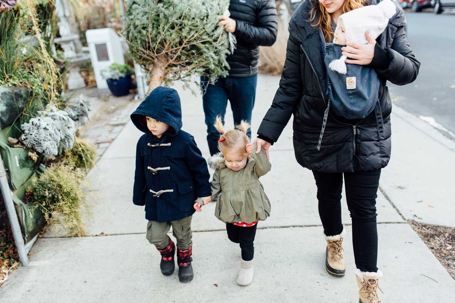 Gulish Family - Greensgrow Farm Christmas Tree - Philadelphia Family Lifestyle Photographer - Alison Dunn Photography photo