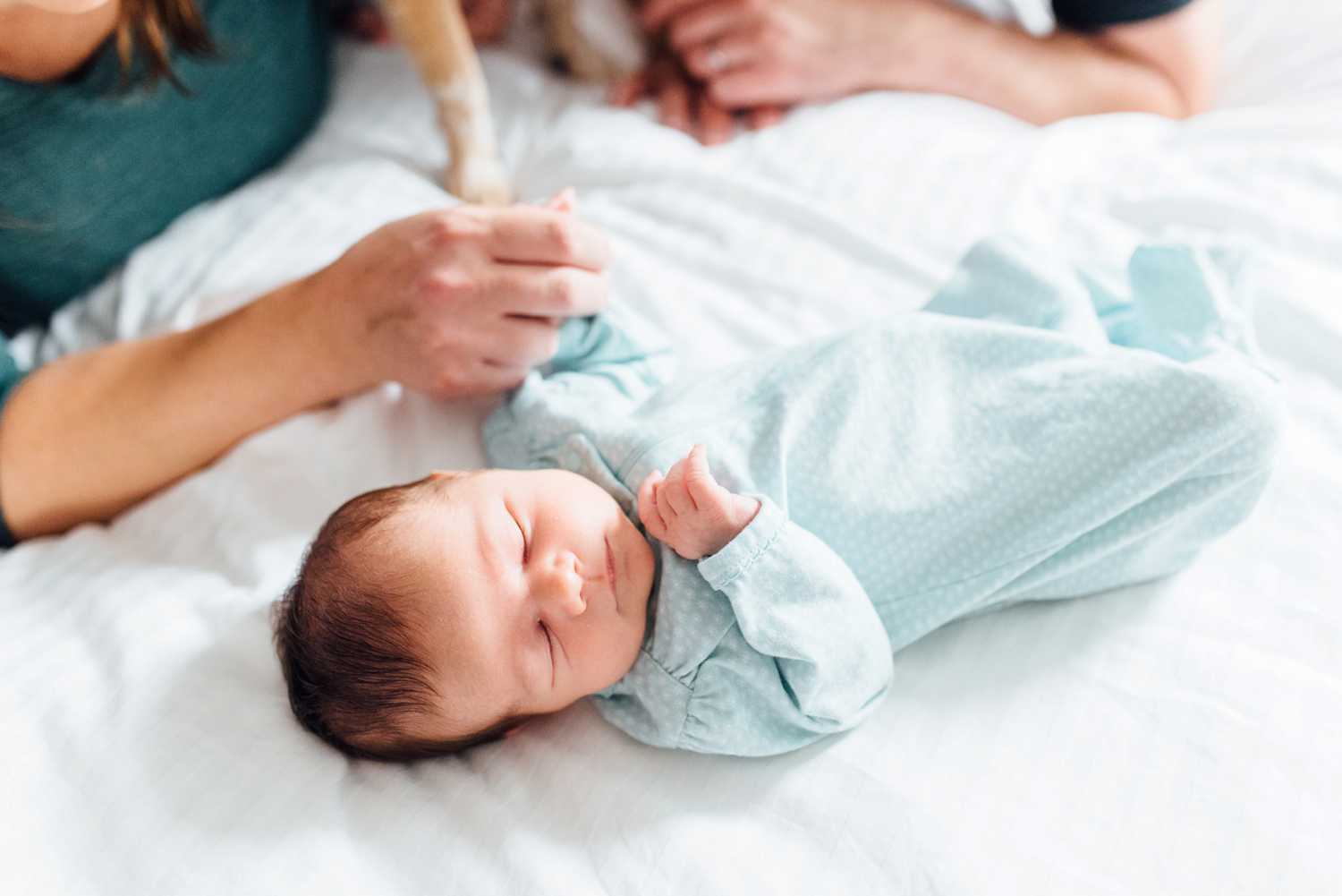 Leland - Philadelphia Newborn Session - Northern Liberties Family Photographer - Alison Dunn Photography photo