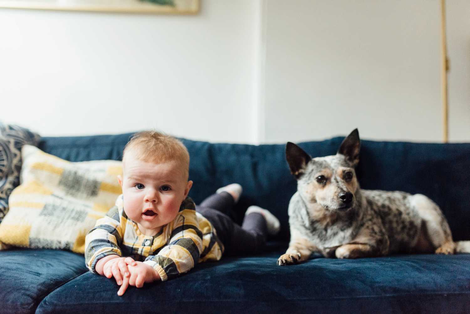 Akery Family - Northern Liberties Family Session - Philadelphia Family Photographer - Alison Dunn Photography photo