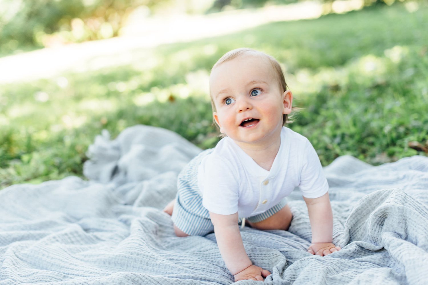 Summer 2020 Mini-Sessions - Philadelphia Family Photographer - Alison Dunn Photography photo