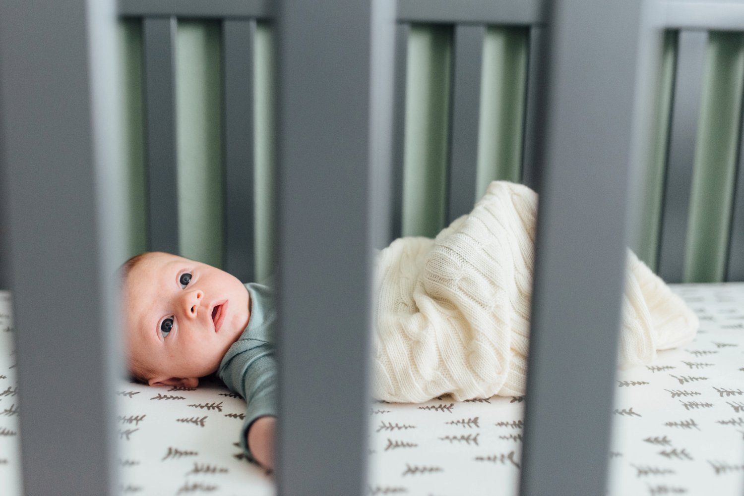 McNamara Family - Chester County Newborn Photographer - Alison Dunn Photography photo