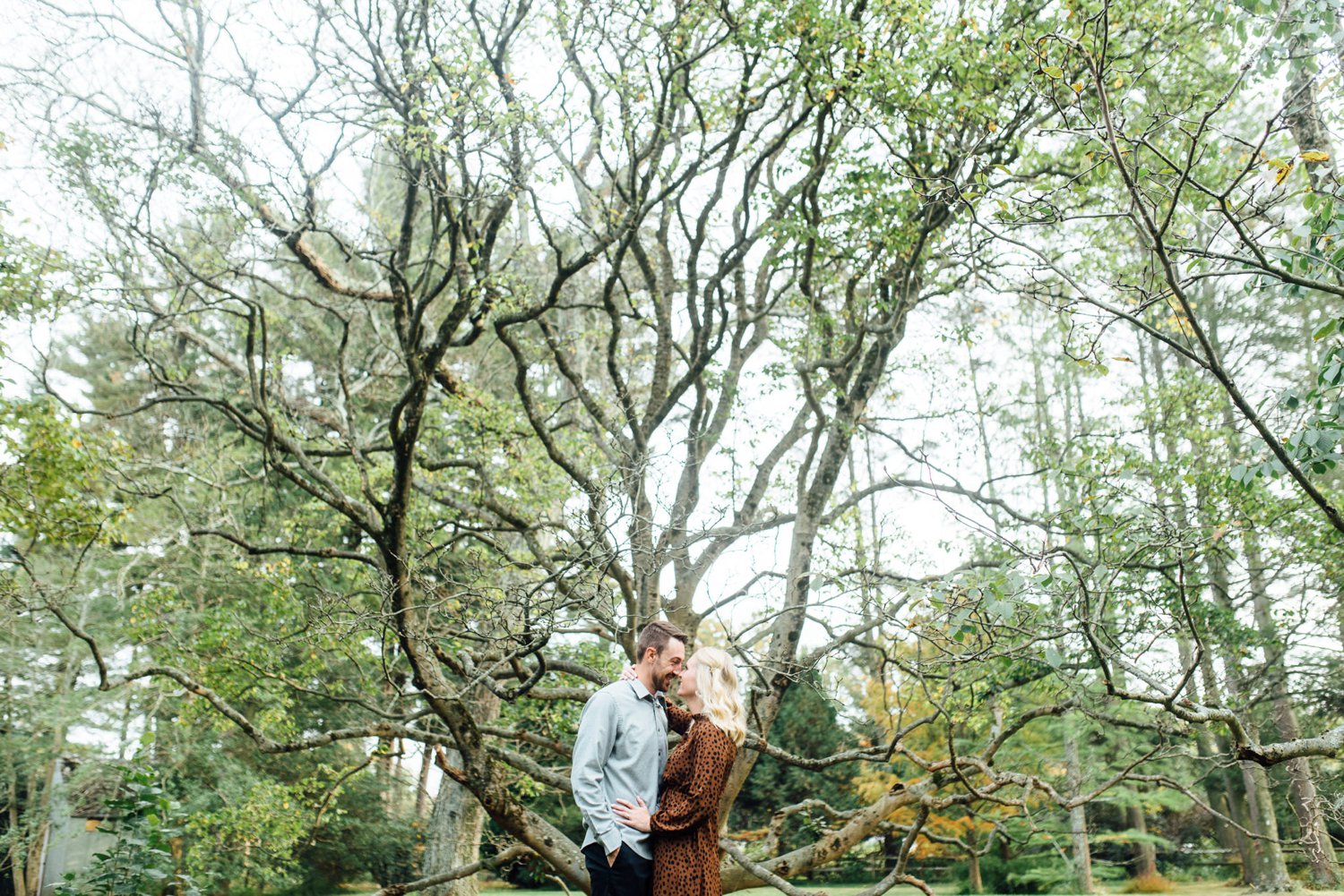 Kaitlyn + Tyler - Tyler Arboretum Engagement Session - Philadelphia Wedding Photographer - Alison Dunn Photography photo