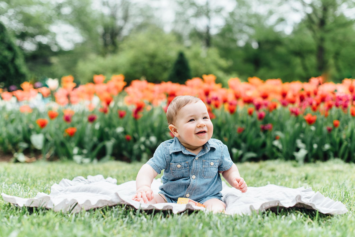 Jenna + Dave + Dylan - Longwood Gardens Family Session - Chester County Family Photographer - Alison Dunn Photography photo