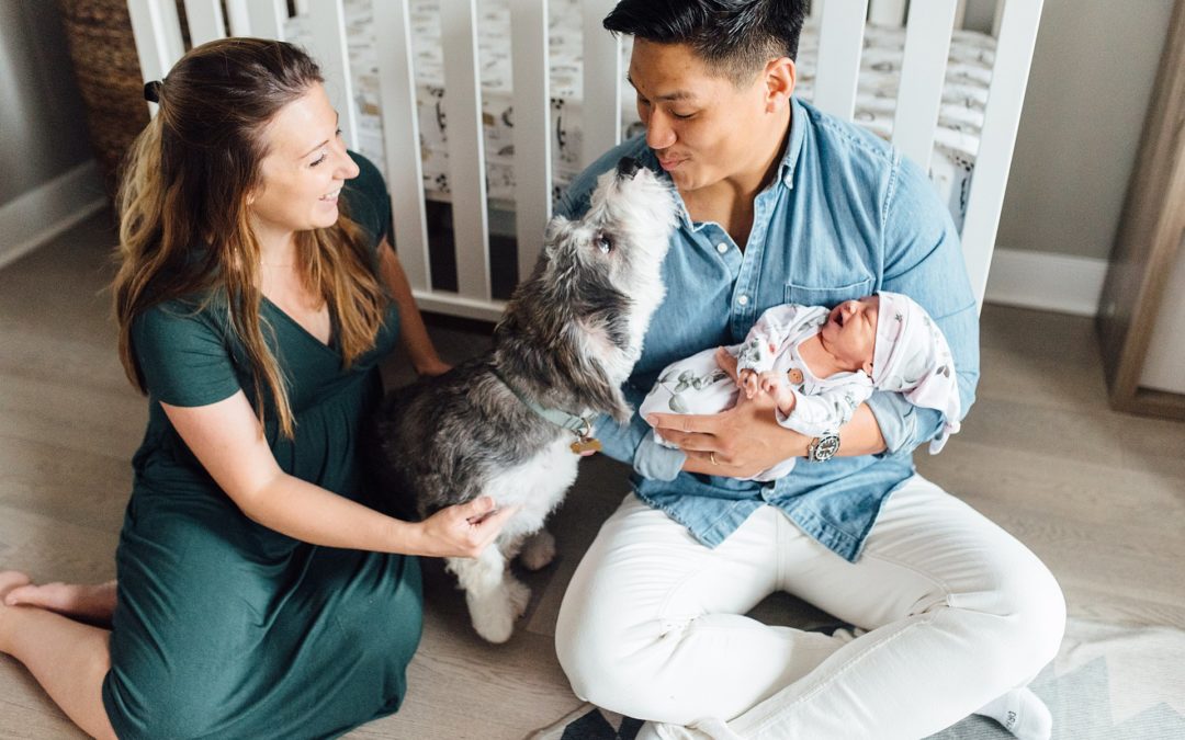 The Le Family // Newborn Session