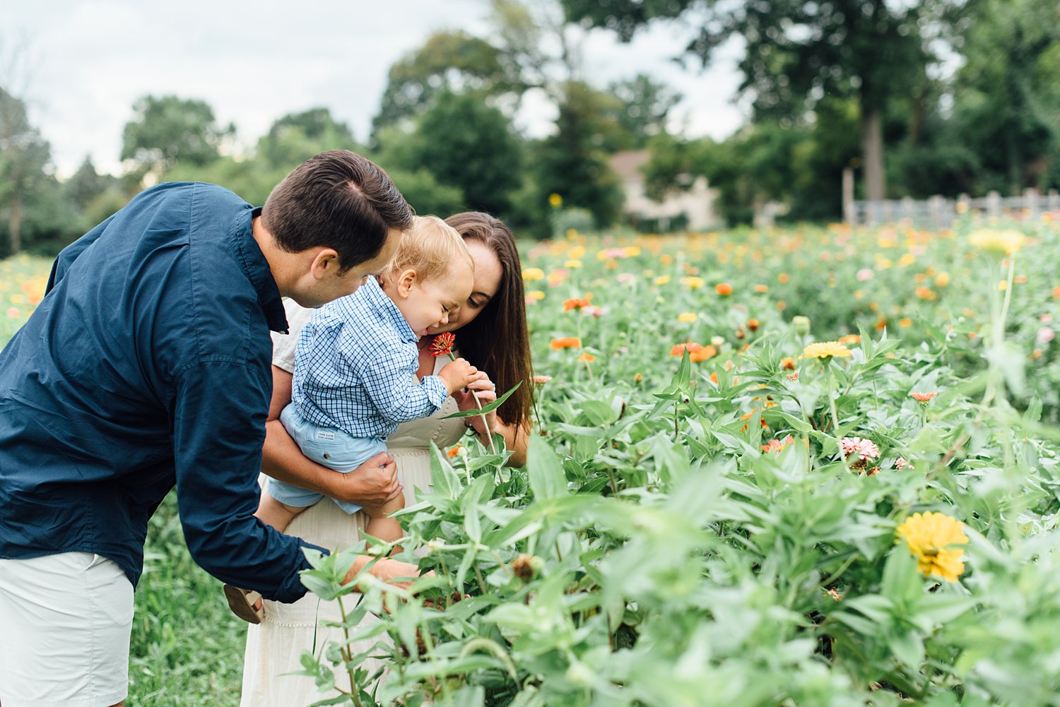 Summer Mini-Sessions - Maple Acres Farm Photo Shoot - Olney Maryland Family Photographer photo