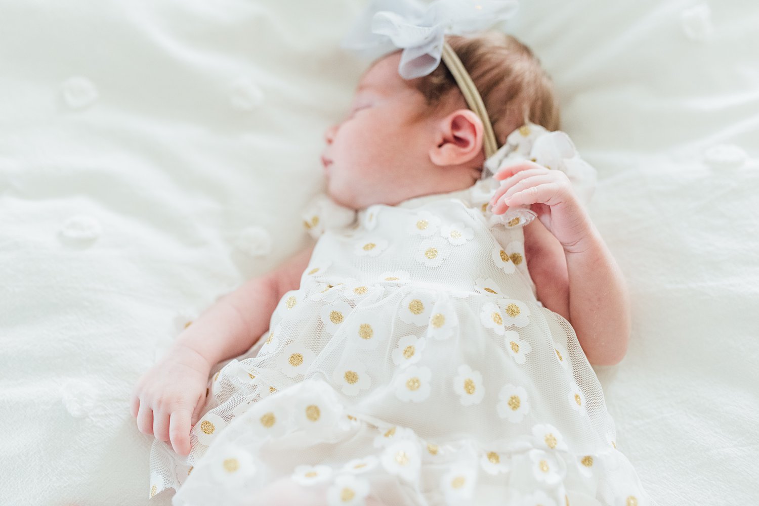 Neu Family - Telford Newborn Session - Maryland Family Photographer - Alison Dunn Photography photo