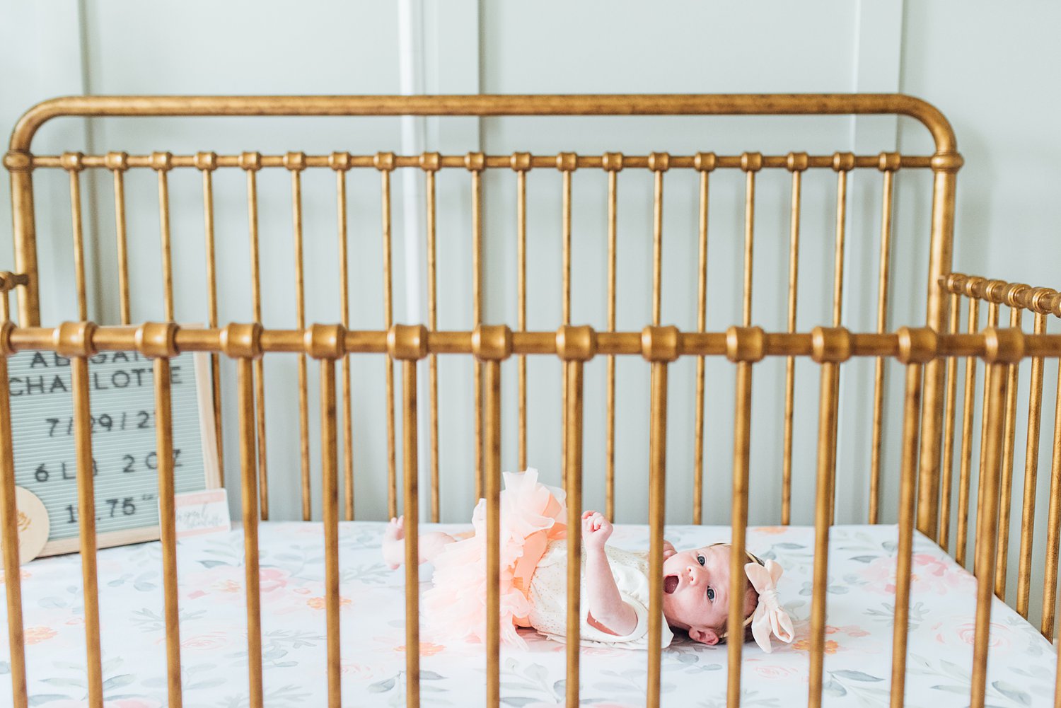 Neu Family - Telford Newborn Session - Maryland Family Photographer - Alison Dunn Photography photo