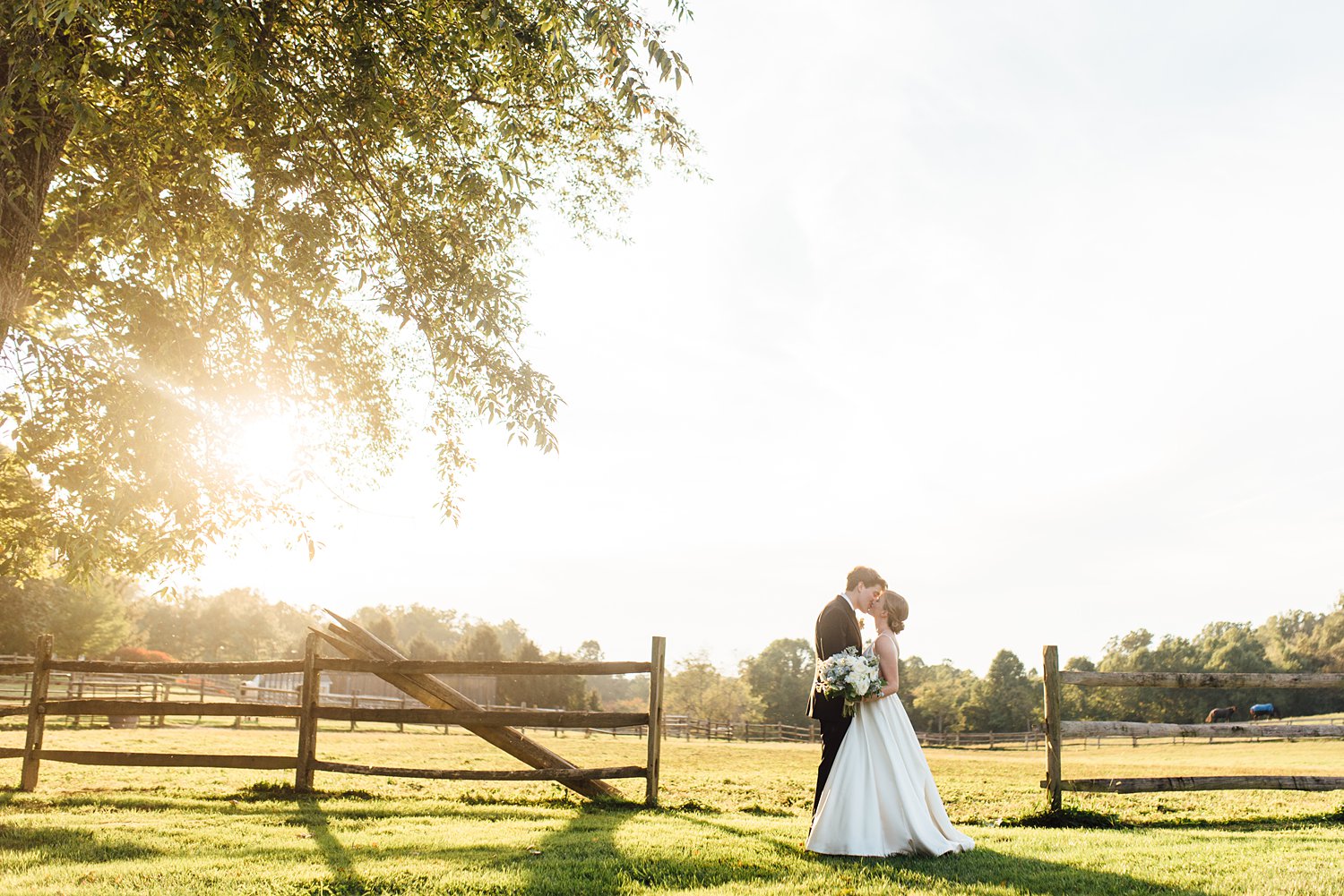 Susannah + George - Vicmead Hunt Club Wedding - Maryland Wedding Photographer - Alison Dunn Photography photo