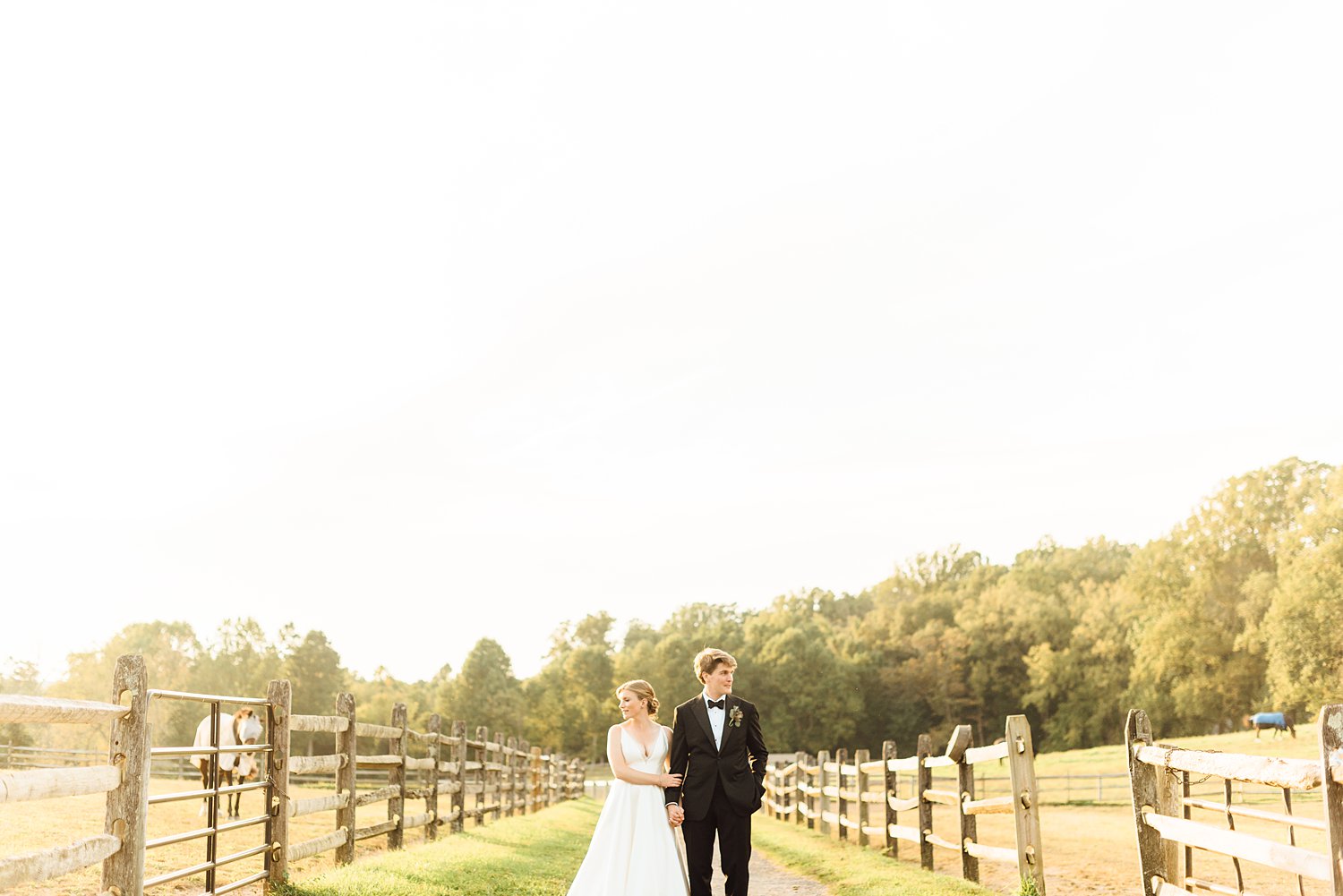 Susannah + George - Vicmead Hunt Club Wedding - Maryland Wedding Photographer - Alison Dunn Photography photo