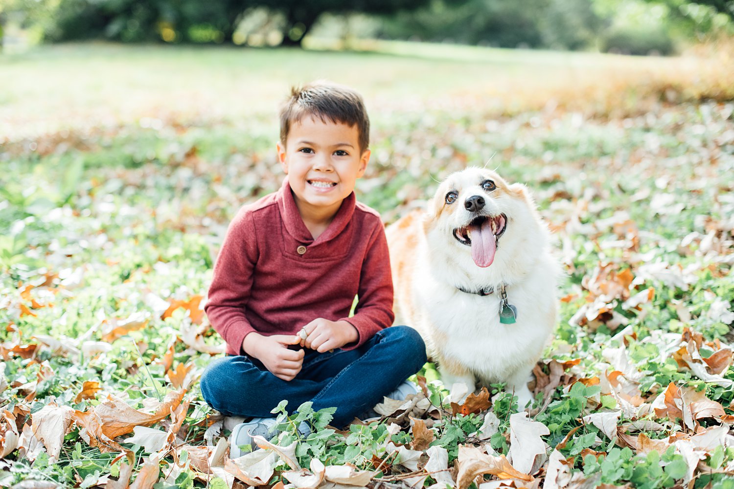 Fall Mini-Sessions - Philadelphia Family Photographer - Alison Dunn Photography photo