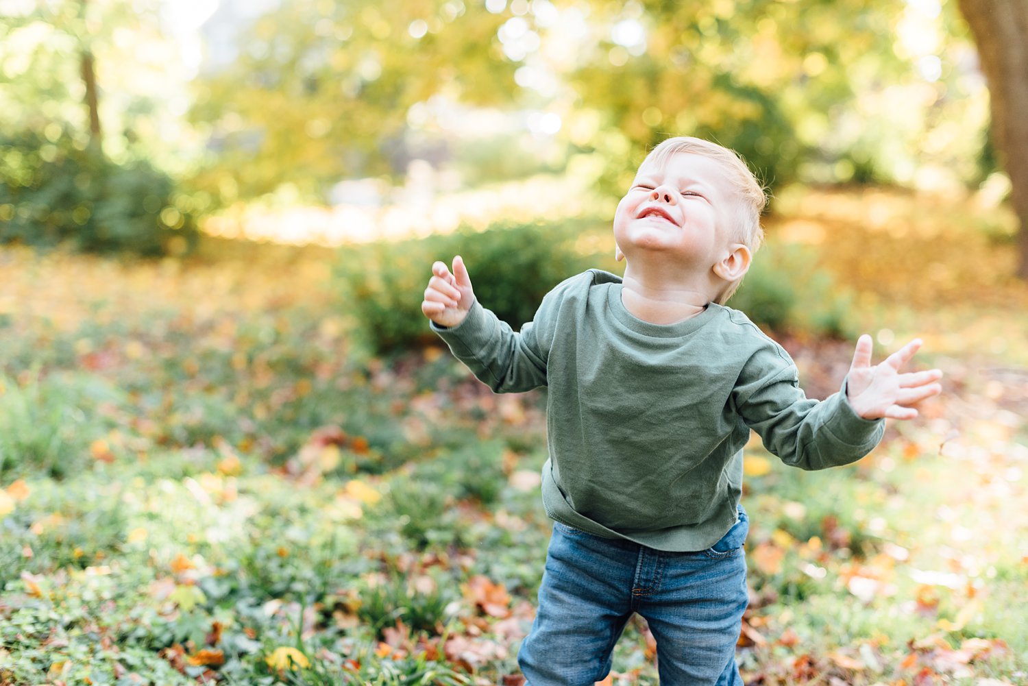 November Mini-Sessions - Silver Spring Family Photographer - Alison Dunn Photography photo