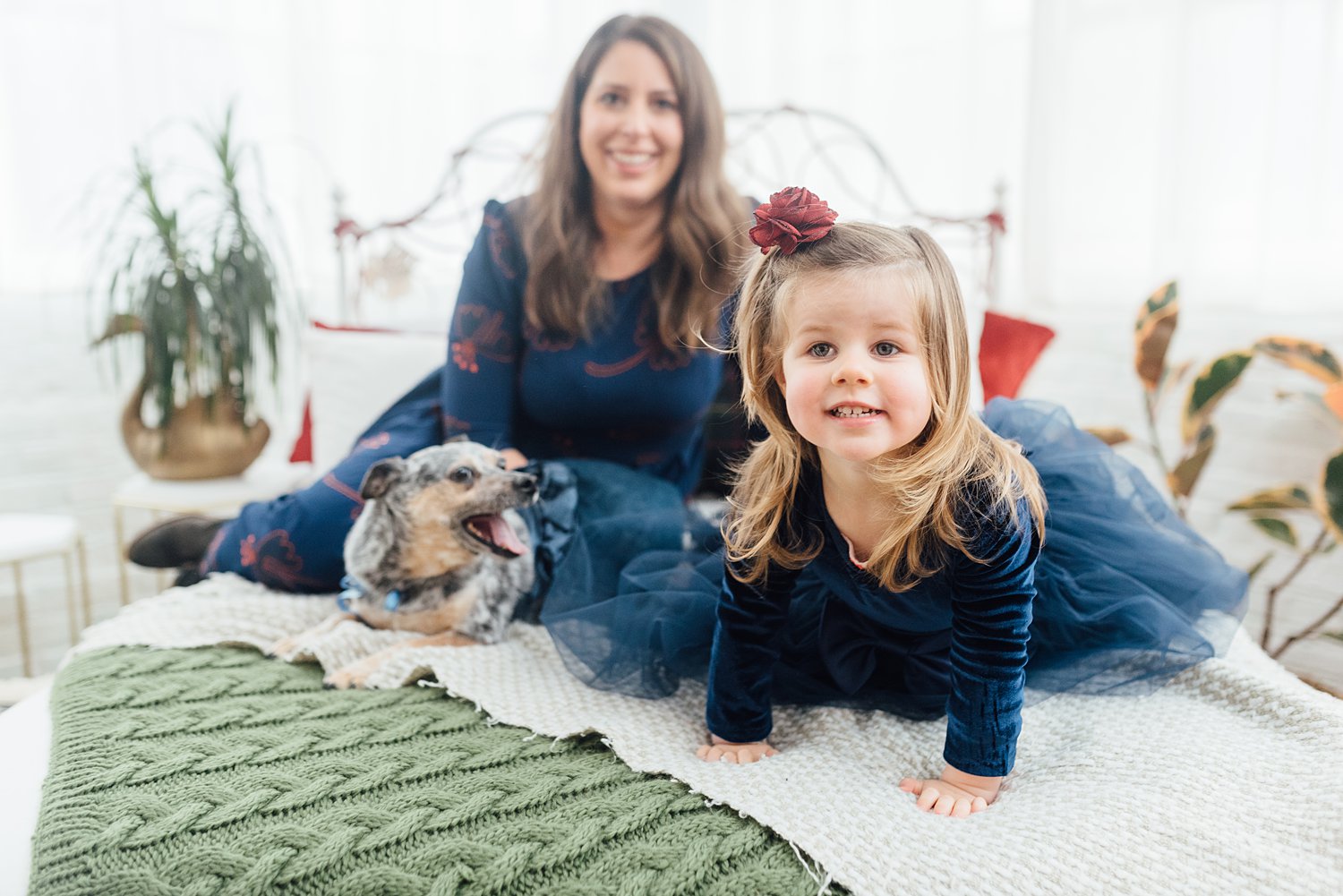 Holiday Mini-Sessions - Olney Family Photographer - Alison Dunn Photography - Stenton Studio photo