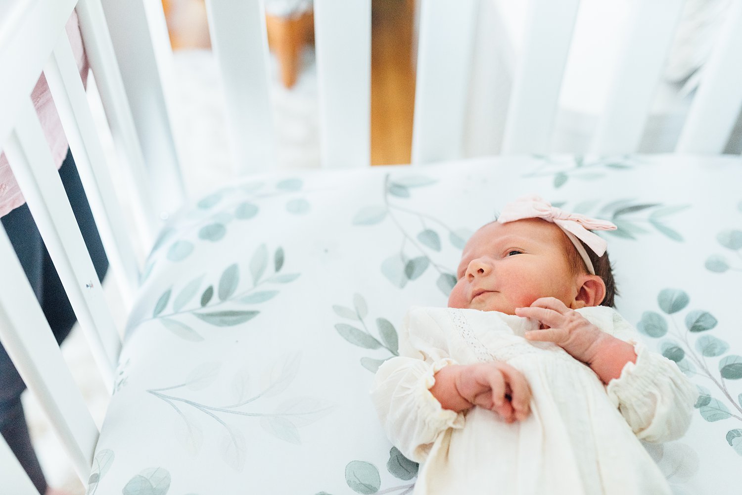 Morse Family - Glenside Newborn Session - Montgomery County Maryland family photographer | Alison Dunn Photography