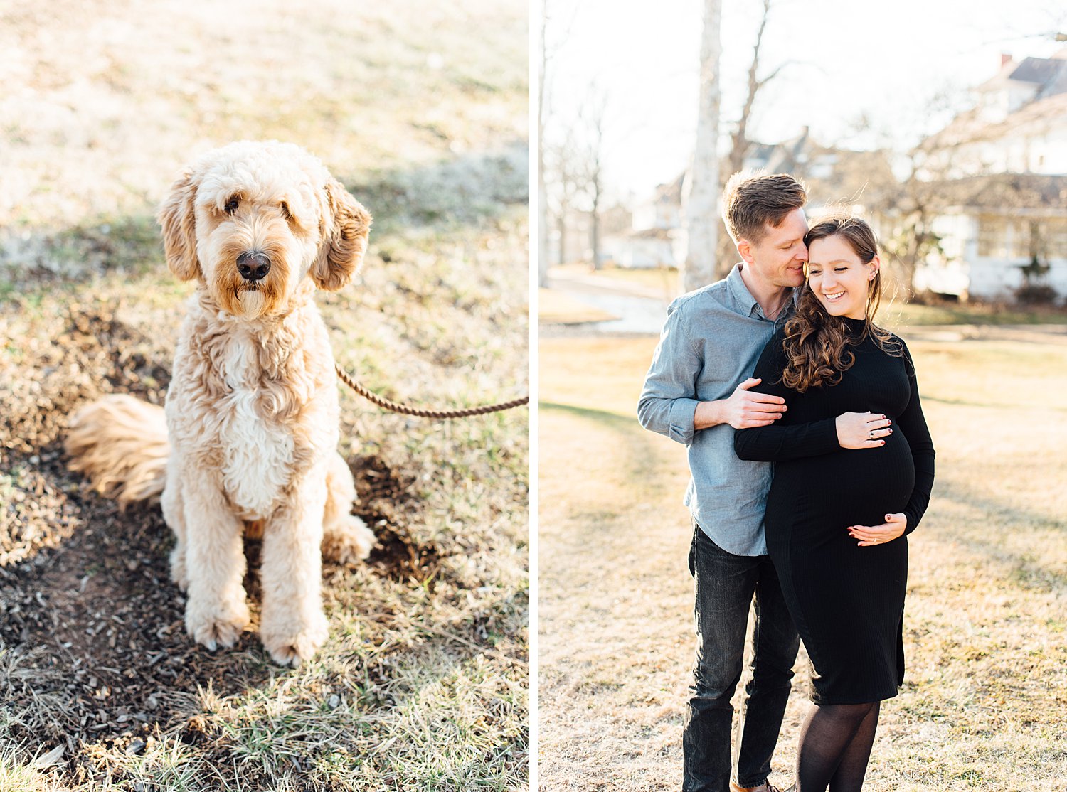 Manns Family - Navy Yard Maternity Session - Silver Spring Maryland Family Photographer - Alison Dunn Photography photo