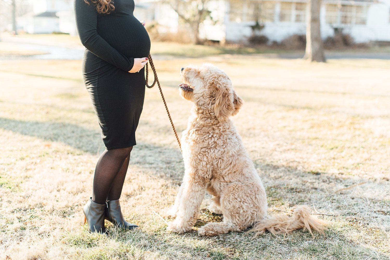 Manns Family - Navy Yard Maternity Session - Silver Spring Maryland Family Photographer - Alison Dunn Photography photo