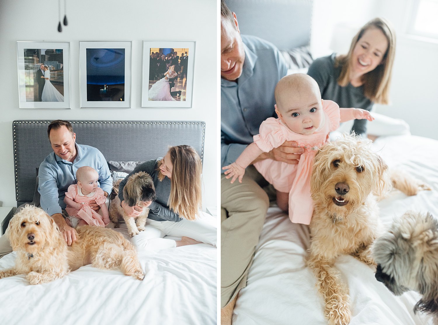 Kopecki Family - Philadelphia In-Home Family Session - Rockville Family Photographer - Alison Dunn Photography photo