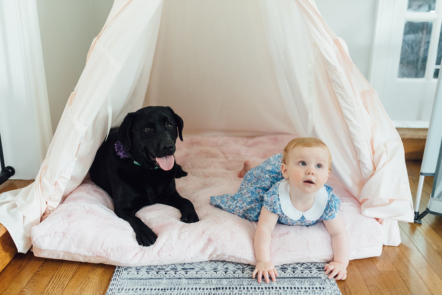 The Higgins Family - Malvern Family Session - Montgomery County Maryland Family Photographer - Alison Dunn Photography photo