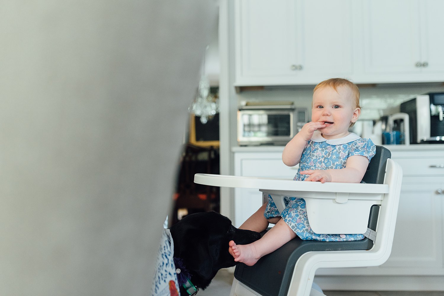 The Higgins Family - Malvern Family Session - Montgomery County Maryland Family Photographer - Alison Dunn Photography photo