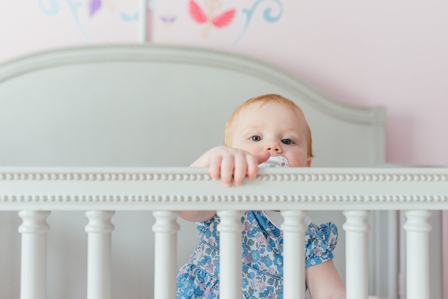 The Higgins Family - Malvern Family Session - Montgomery County Maryland Family Photographer - Alison Dunn Photography photo