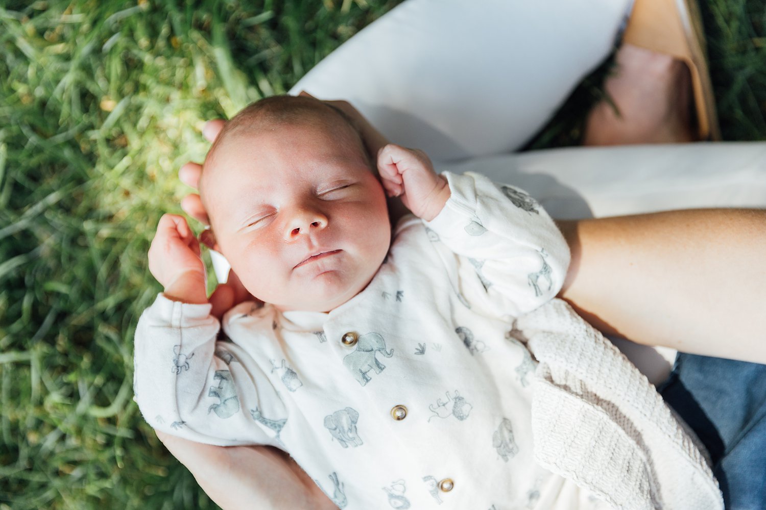 Mills Family - Cherry Hill In-Home Newborn Session - Rockville Maryland family photographer - Alison Dunn Photography photo