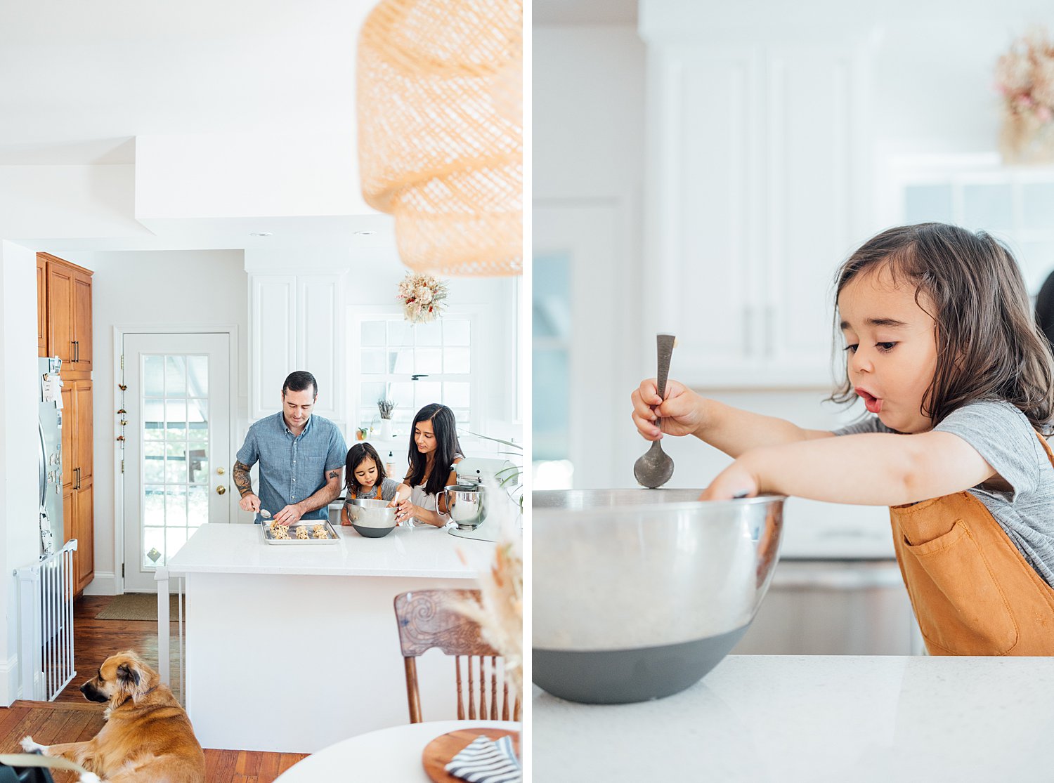 The Fulton Family - Elkins Park Family Session - Rockville Maryland Family Photographer - Alison Dunn Photography photo