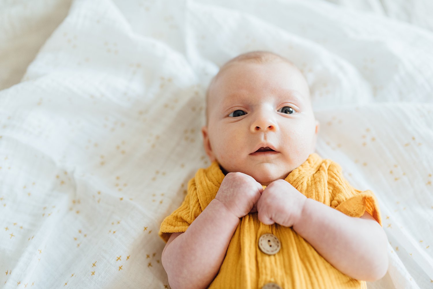 The Manns Family - Philadelphia Newborn Session - Rockville Maryland Family Photographer - Alison Dunn Photography photo