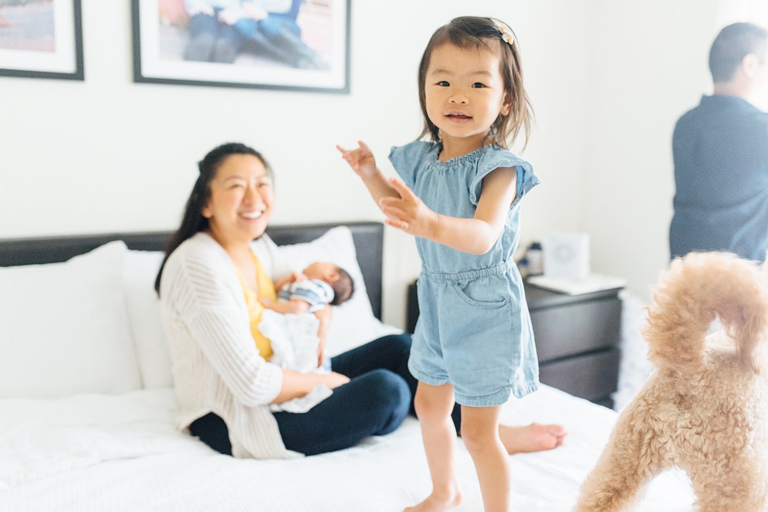 Cheung Family - Silver Spring Newborn Session - Maryland Family Photographer - Alison Dunn Photography photo