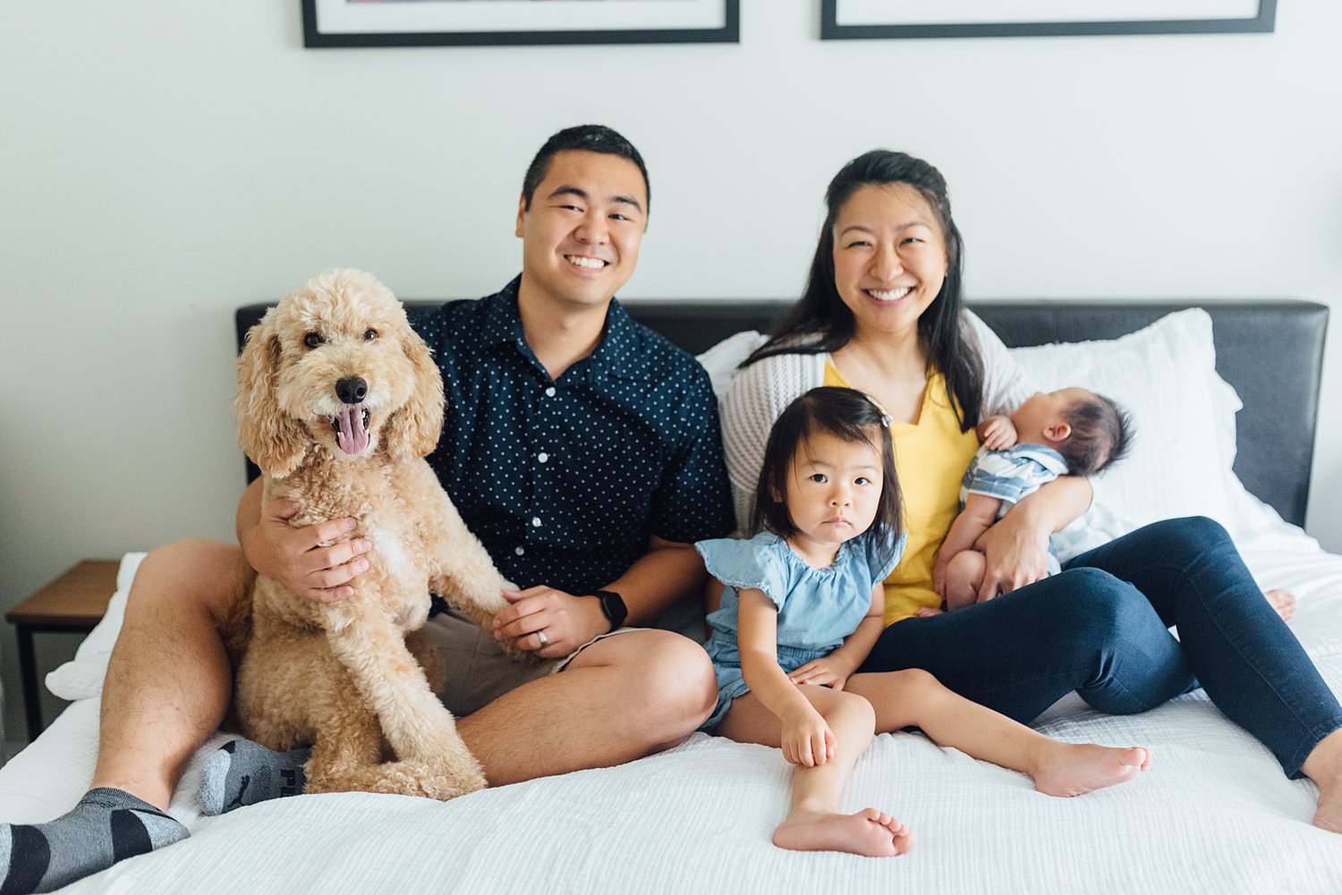 Cheung Family - Silver Spring Newborn Session - Maryland Family Photographer - Alison Dunn Photography photo