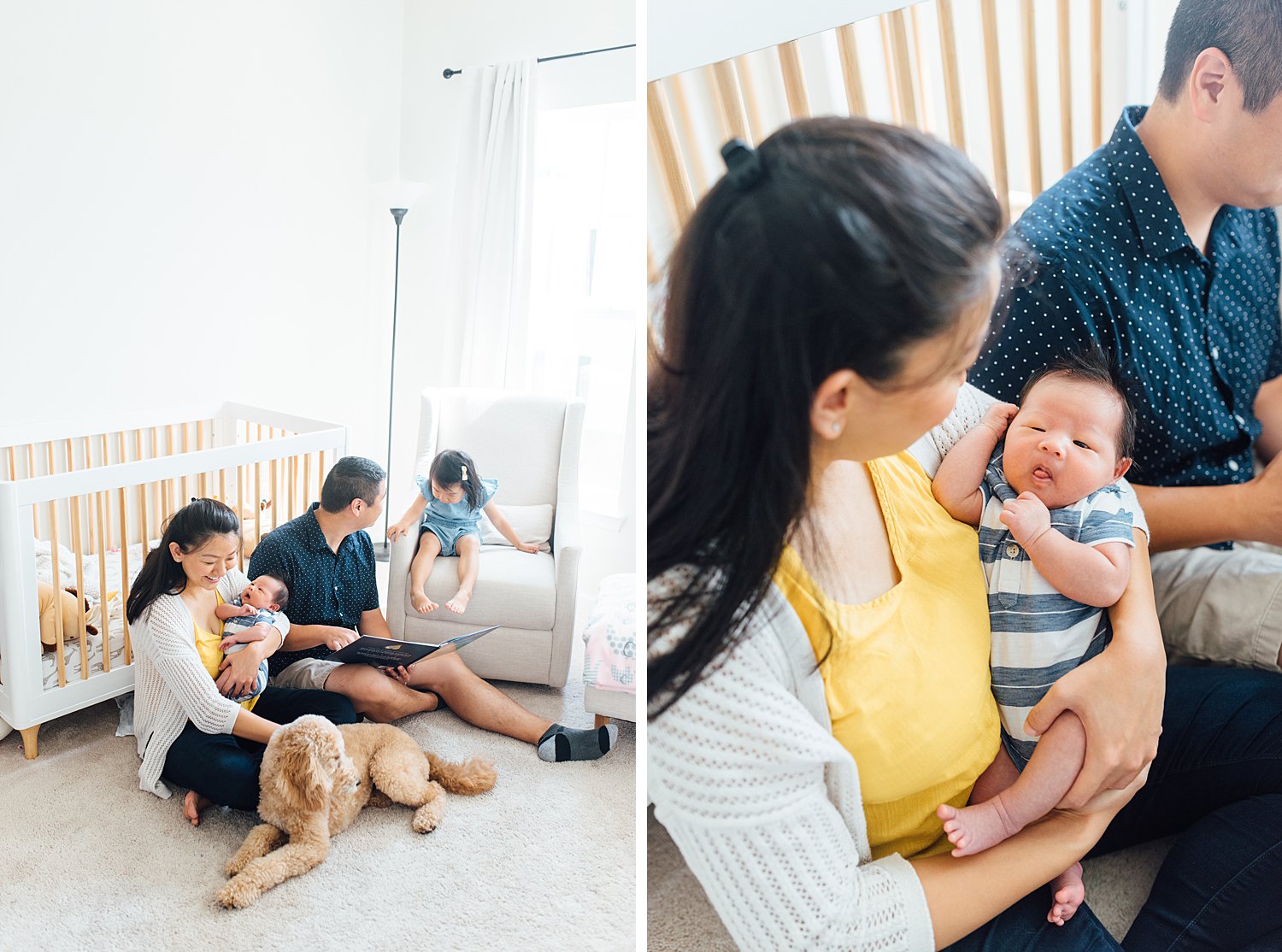 Cheung Family - Silver Spring Newborn Session - Maryland Family Photographer - Alison Dunn Photography photo