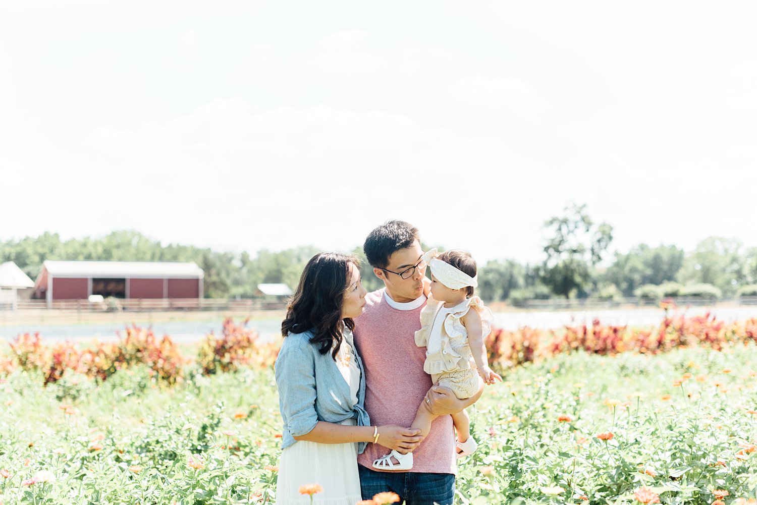 Summer Mini-Sessions - Maple Acres Flower Farm - Montgomery County Maryland family photographer - Alison Dunn Photography photo