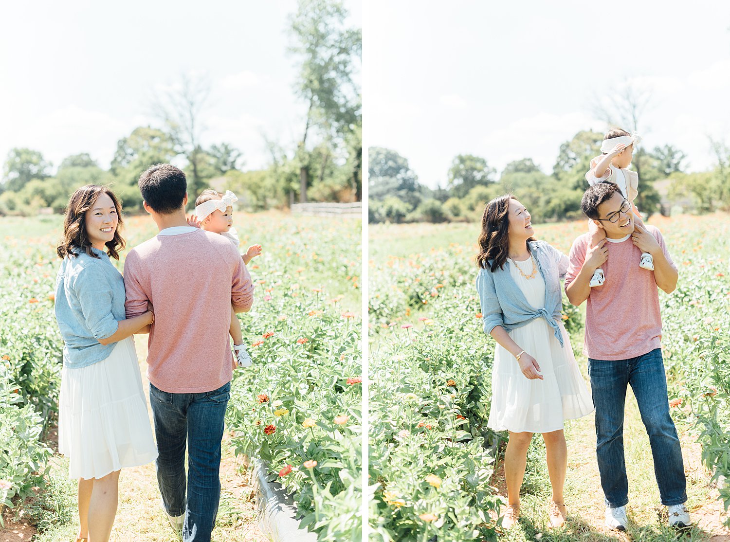 Summer Mini-Sessions - Maple Acres Flower Farm - Montgomery County Maryland family photographer - Alison Dunn Photography photo