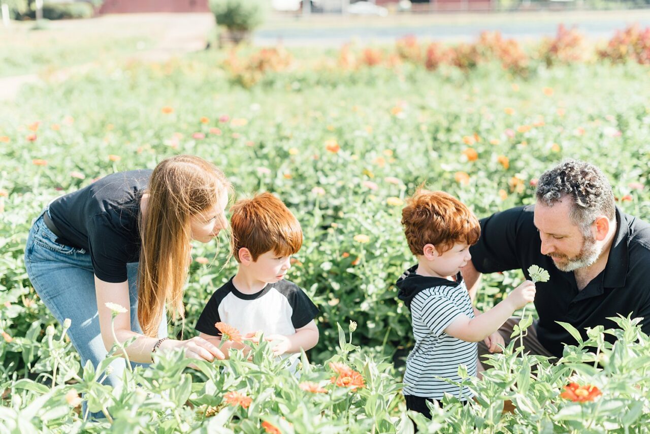 Maple Acres Flower Farm MiniSessions Alison Dunn Photography