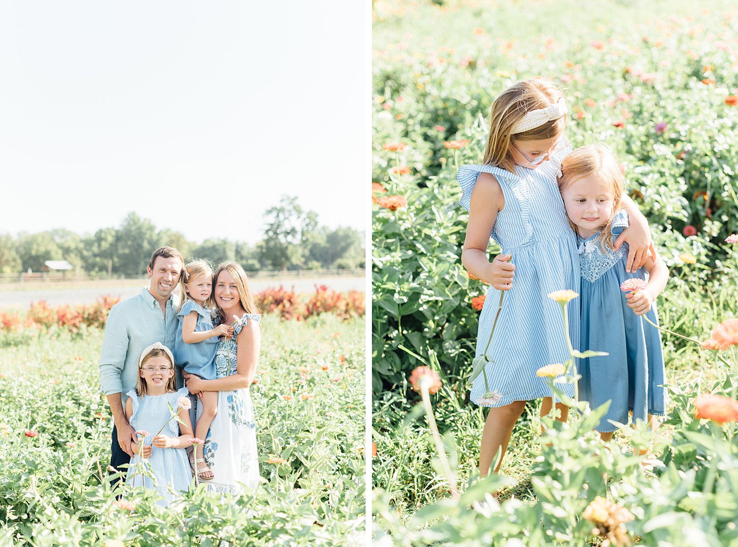 Summer Mini-Sessions - Maple Acres Flower Farm - Montgomery County Maryland family photographer - Alison Dunn Photography photo