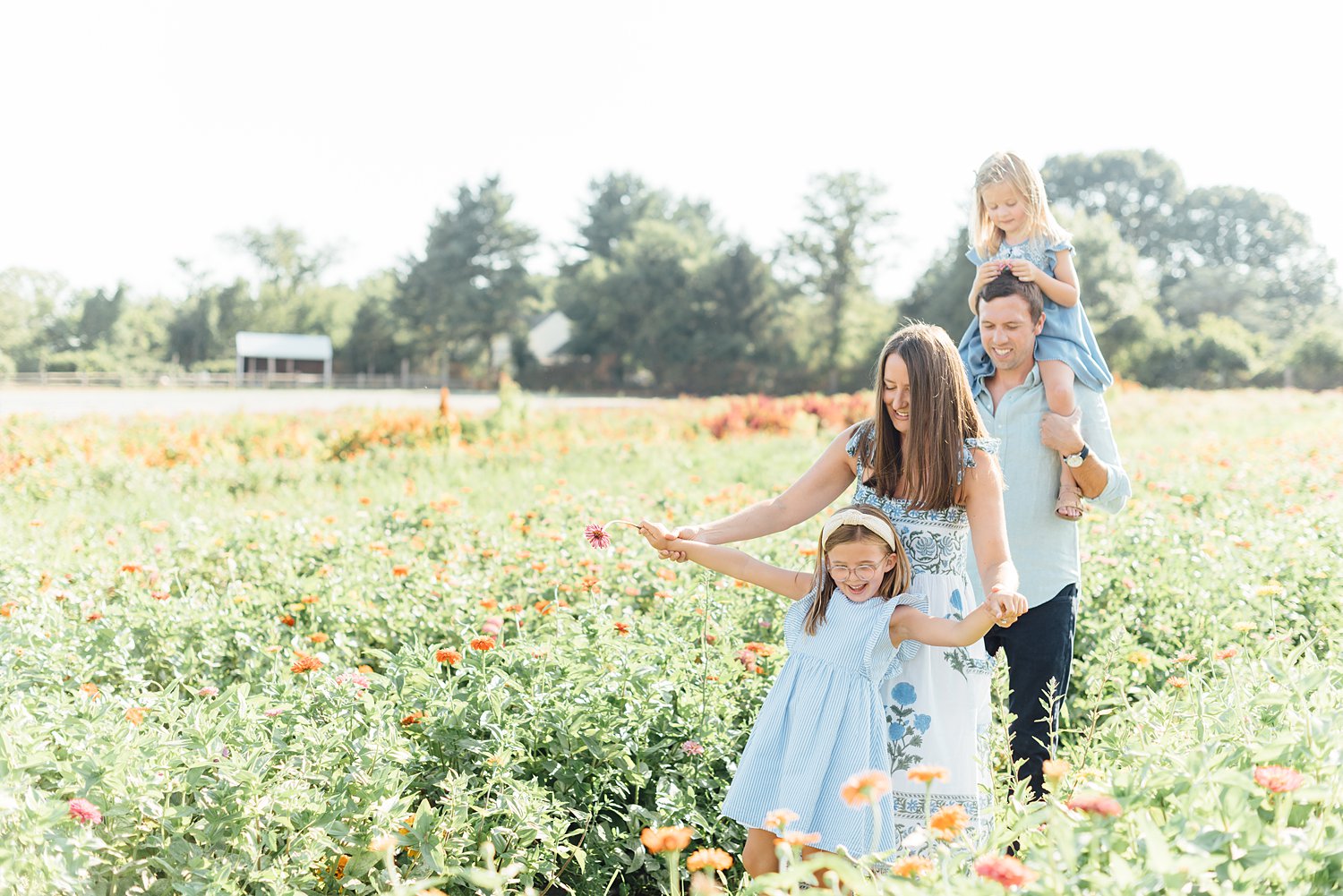 Summer Mini-Sessions - Maple Acres Flower Farm - Montgomery County Maryland family photographer - Alison Dunn Photography photo