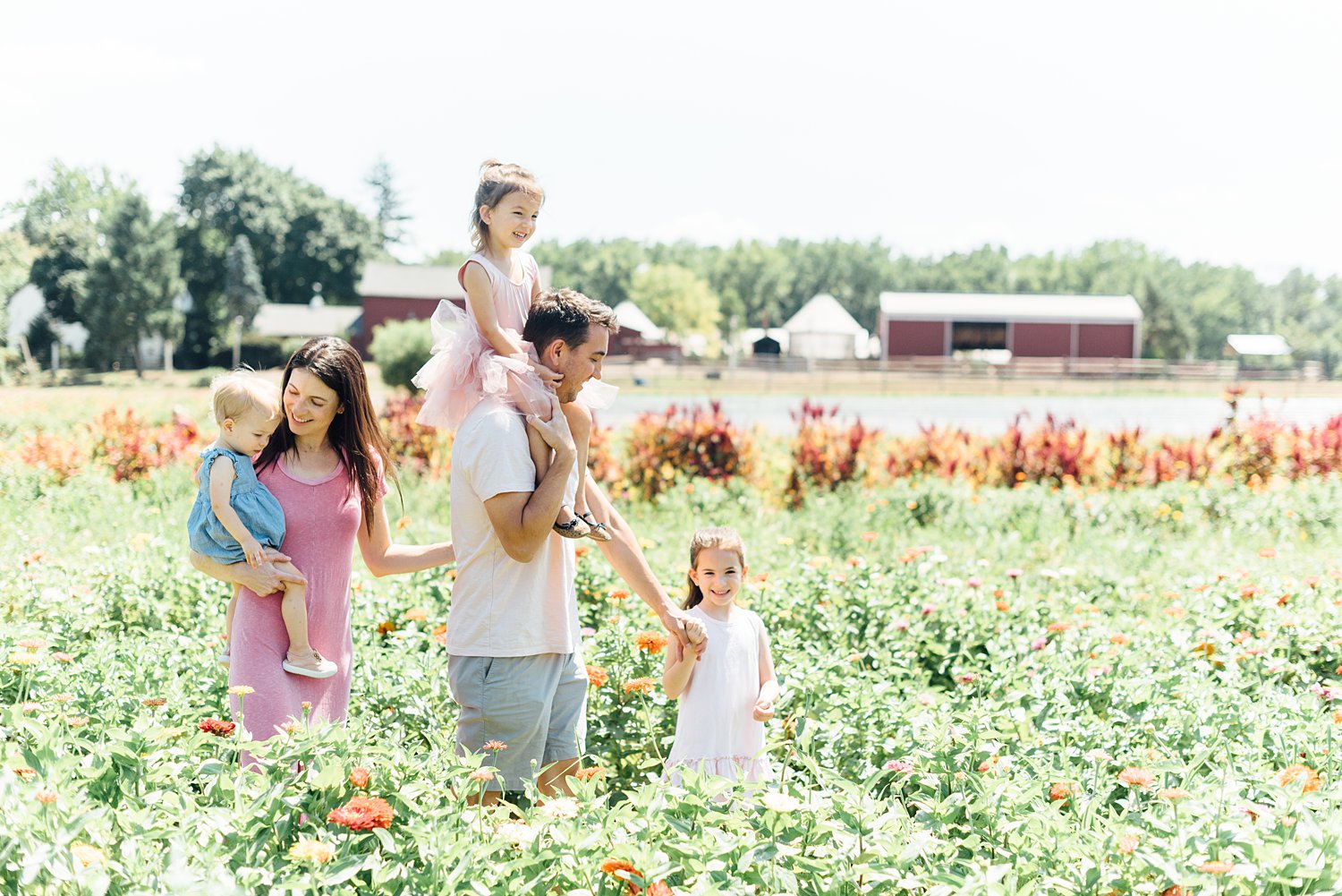 Summer Mini-Sessions - Maple Acres Flower Farm - Maryland family photographer - Alison Dunn Photography photo