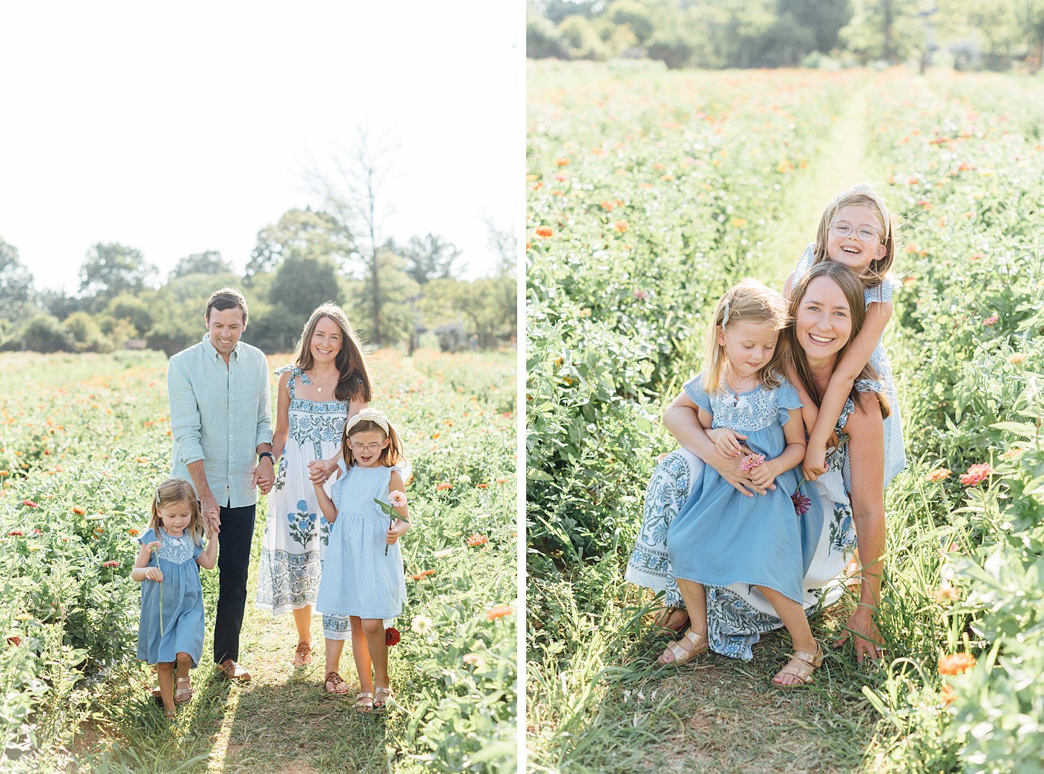 Summer Mini-Sessions - Maple Acres Flower Farm - Montgomery County Maryland family photographer - Alison Dunn Photography photo