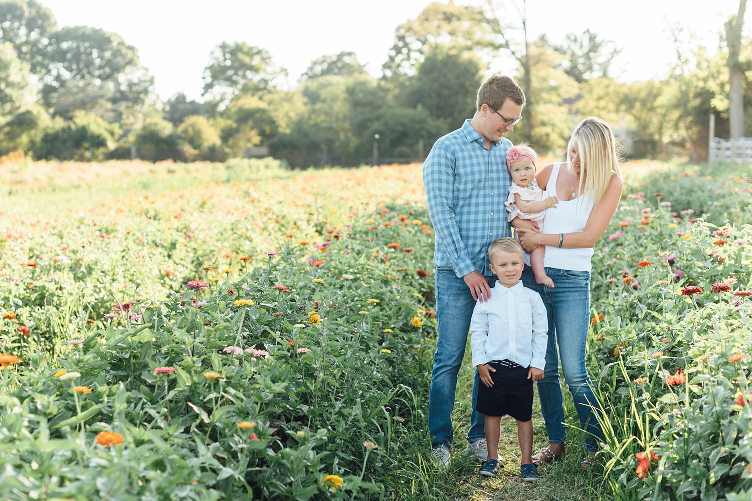 Summer Mini-Sessions - Maple Acres Flower Farm - Montgomery County Maryland family photographer - Alison Dunn Photography photo