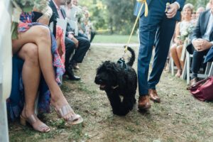 Matt + Kara - Bartram's Garden Wedding - Philadelphia Wedding Party - Alison Dunn Photography photo