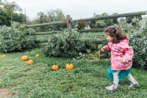 The Boczars - Maple Acres farm family session - Philadelphia wedding photographer - Alison Dunn Photography photo